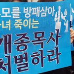 [꼭봐주세요] 故 구지인 양이 우리에게 남긴 숙제, 강제개종 금지법...