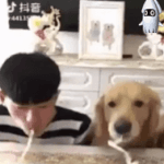 너네 그저그런애랑 <b>통화</b>할수있음?