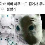 <b>스트릿</b>으로 입는애 보면 어때?