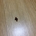 [드루와] 죠리퐁 먹다가 이상한거 나왔어요