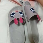 [드루와] 다이소가서 산 것들