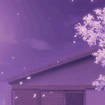 <b>야자</b> 안하면