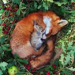 [조언부탁해] 피부화장할때 <b>미간</b>만 뜨는거 어떻게 해야돼...?