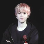 [백현] 백현이 싱가<b>폴콘</b> 고화질