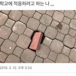 [댓글부탁해] 너희 혹시 찐따 같은 안경 쓴 애들
