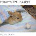 [EXO] 아유 요놈<b>시키</b> 귀여웡...!!