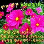 난 자러가야지 ㅎ