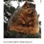 [댓글부탁해] 드디어 진로 찾았어