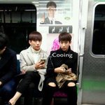 [드루와] <b>셉틴</b> 도겸 임산부석