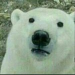 [댓글부탁해] 양<b>갈래</b> 유행핶음 좋겠다