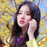 봄날의 꽃같은 여아<b>이돌</b>