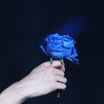 <b>임시</b>반장도 아닌데