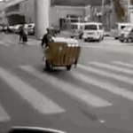 <b>버니</b>합이래씨·ㅡ븍ㄷㄱㄷ팔ㅋㅋㅋㅋㄱㅋㅋㄱㅋㄱㅋㄱㄱㅋㄱㄱㅋㄱㄱㄱㄲㄱ...