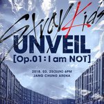 I am <b>NOT</b> 스트레이키즈