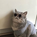 [댓글부탁해] 동아리 추천좀 ㅠㅠ 급해