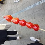 [드루와] 아 영어<b>문법</b> 배우기 개싫