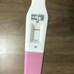 제발임테기좀봐줘제발제발제발제발