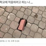 <b>니</b>네는 <b>생일</b>선물 뭐 받고싶어