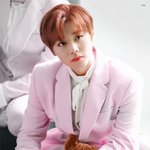 봄날의 꽃 그 <b>자체</b>인 <b>남</b><b>돌</b>
