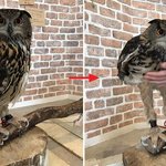 [19] 아니ㅁㅊ 여자들이 화장실에서