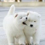 친구<b>사귀</b>는거개힘드네