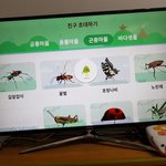 집에서 곤충 볼 수 있는 방법이예요!