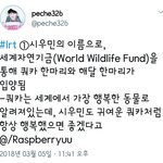 [시우민] 시우민 이름으로 <b>해달</b> 입양했대