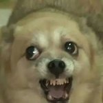 [개깊은빡침] 진짜 살 <b>안찌</b>는 애들은