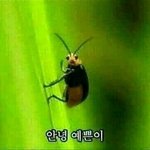 [댓글부탁해] 키 ㅈㄴ작은 판녀들 들어와봐