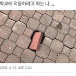 [드루와] 나 ㄹㅇ 소심함의 끝을 달리는데