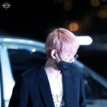 [백현] <b>공항</b> 벚꽃큥 분위기