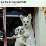 <b>선배들</b>한테 항상 찍히는 애들 있어?