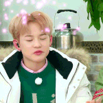 [NCT] 드.림.컴.백.한.다악~~~~