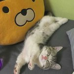 고1 모고 <b>점수</b> 좀 봐줘...