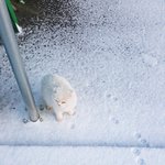 [조언부탁해] 나엄마한테 혼나고 지금 학원인데 어떡해?