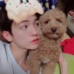 [댓글부탁해] 낯 안 가리는 법 좀ㅜㅜㅜㅈㅂ