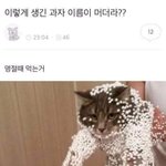 [드루와] 좋은대학 꼭 가야할까?