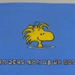 [댓글부탁해] ❤❤고1들 과학 공부 어떻게하고있어????❤❤