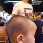 [고양이] 795일째 육아육묘 (짧은근황)