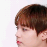 [박지훈] 뽀짝 윙깅아 오래도록 함께하자