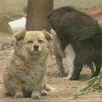 [19] 엄마한테 남친이랑 <b>진도</b>;