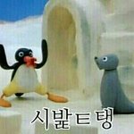 ㅅㅂ <b>시력</b>안좋은데 안경 안쓰는사람?