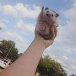 우리학교는 반티때문에 싸울일이 없음