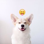 나 ㄹㅇ <b>쌍</b><b>액</b>하고 다녀야 하냐