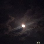 나 <b>양성애</b>잔데
