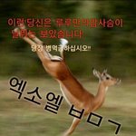 [EXO] 어그로힘내라 ㅈ<b>창난</b>인생한탄 엑톡에서라도해라