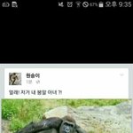 [댓글부탁해] 얘들아 나<b>요새</b> 진짜이상해