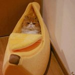 [드루와] 남자작가가 그린 <b>웹툰</b>내용은 웨 다똑같음?ㅋㅋㅋㅋ