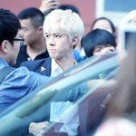 [EXO] 오세훈은 진짜 회색 아기cat 같음ㅠㅠ