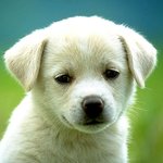 [19] <b>모쏠</b>이었던 남자친구 스킨십;
